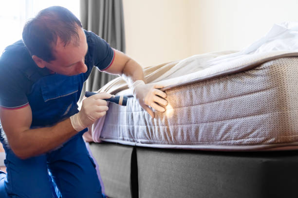 Best Fumigation Services  in Louise, TX